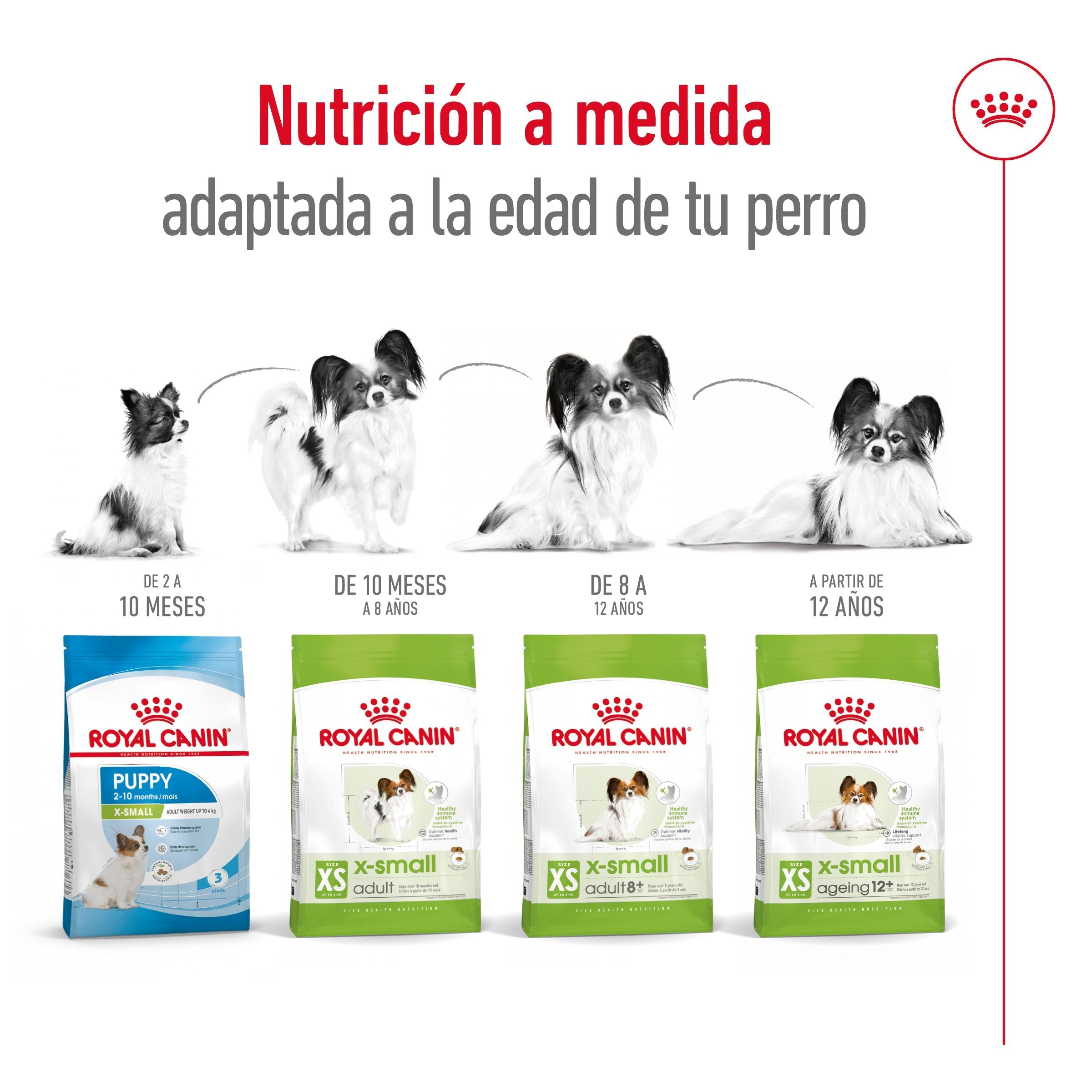 Royal Canin X-Small 8+ Pienso para Perros al mejor precio -Todoanimal.es