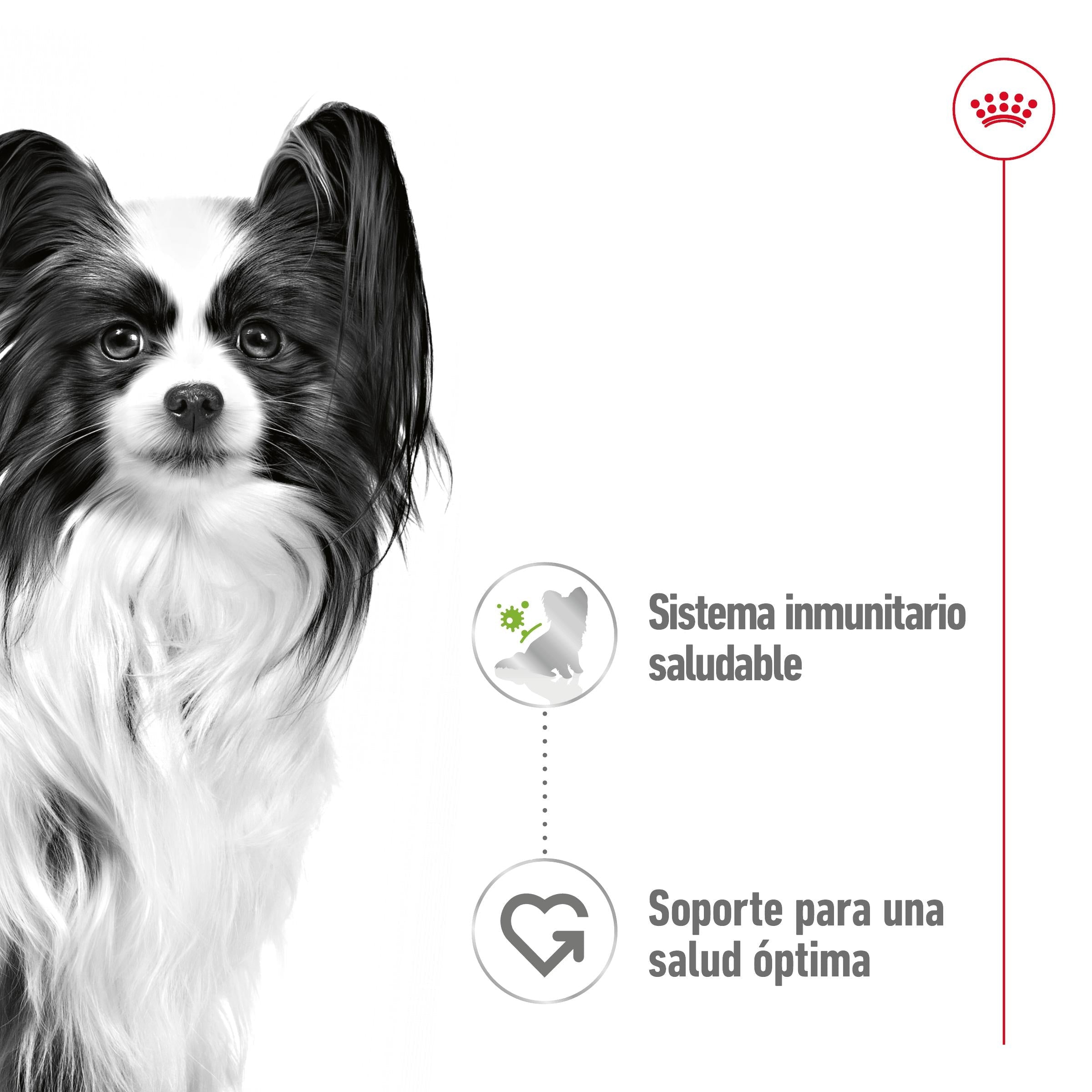 Royal Canin X-Small Adulto 85 g Comida Húmeda para Perros al mejor precio -Todoanimal.es
