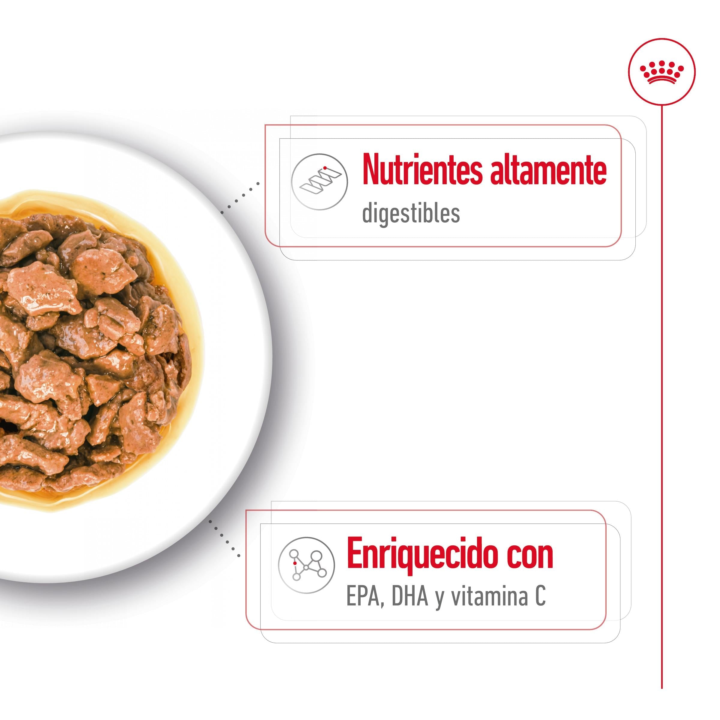 Royal Canin X-Small Adulto 85 g Comida Húmeda para Perros al mejor precio -Todoanimal.es
