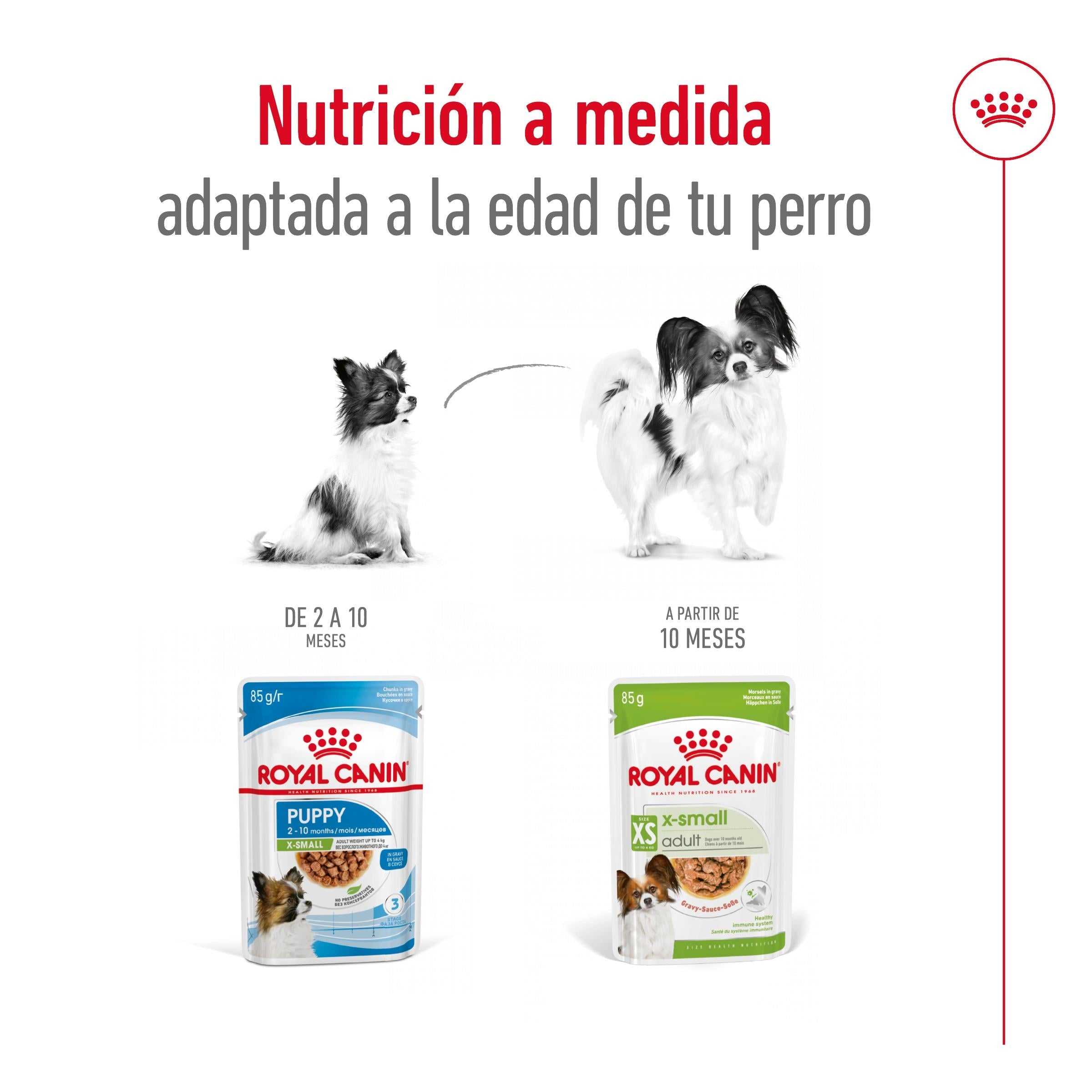 Royal Canin X-Small Adulto 85 g Comida Húmeda para Perros al mejor precio -Todoanimal.es