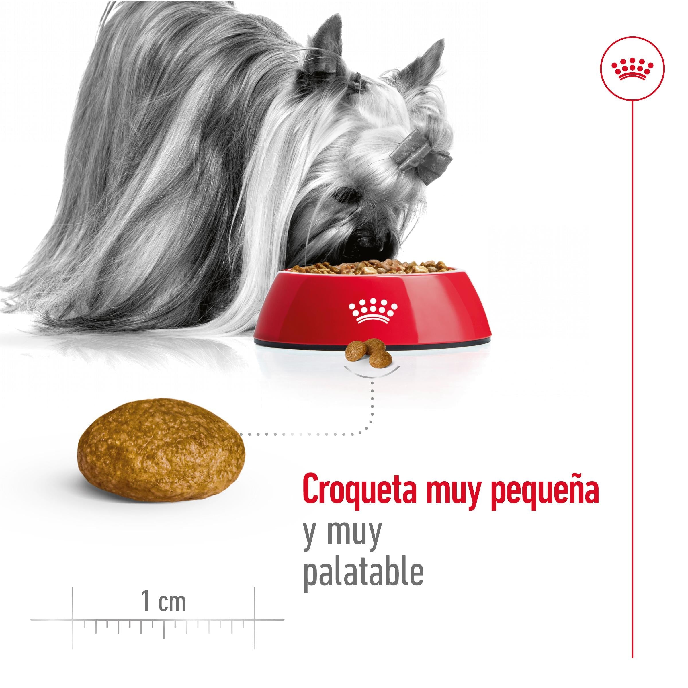 Royal Canin X-Small Adulto Pienso para Perros al mejor precio -Todoanimal.es