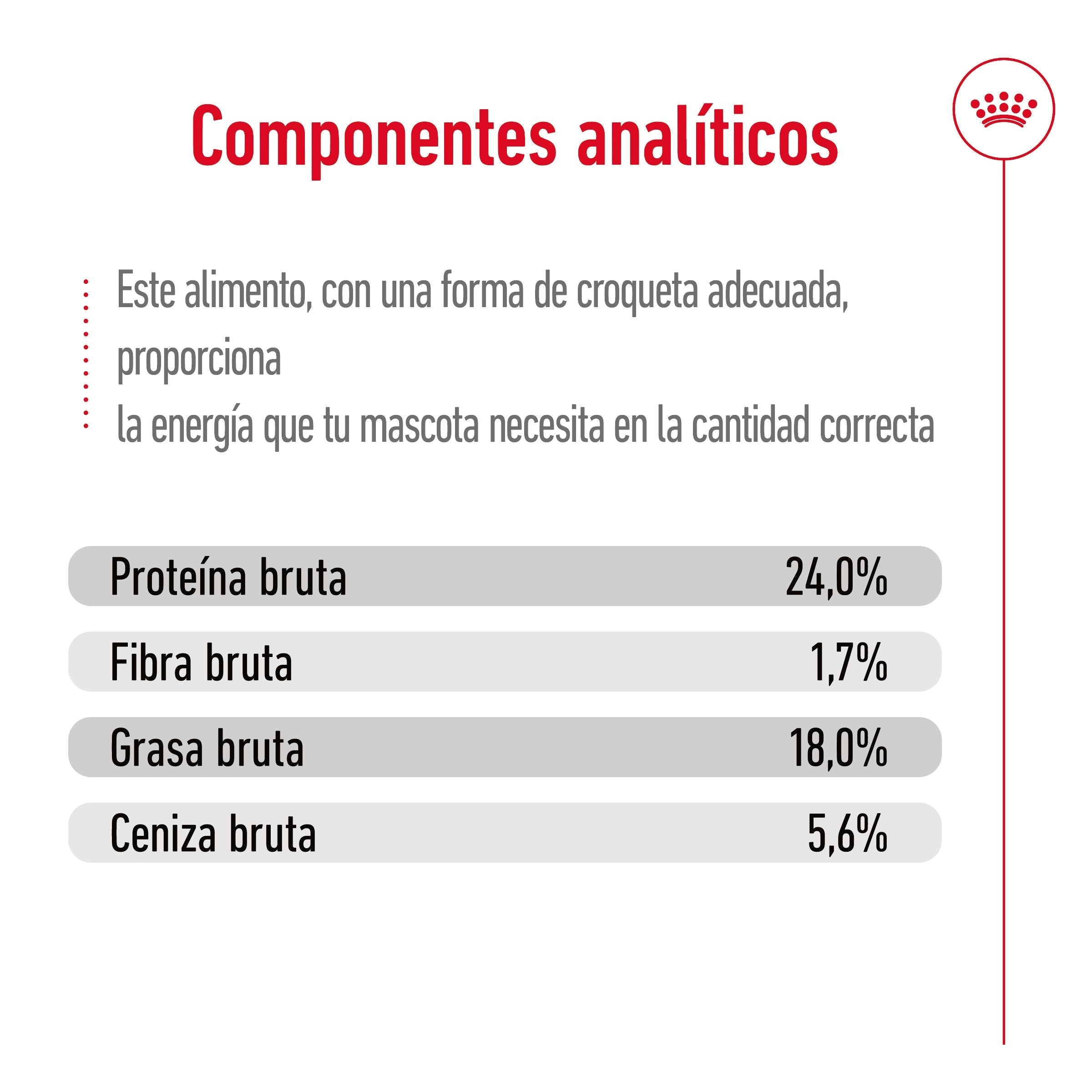 Royal Canin X-Small Adulto Pienso para Perros al mejor precio -Todoanimal.es