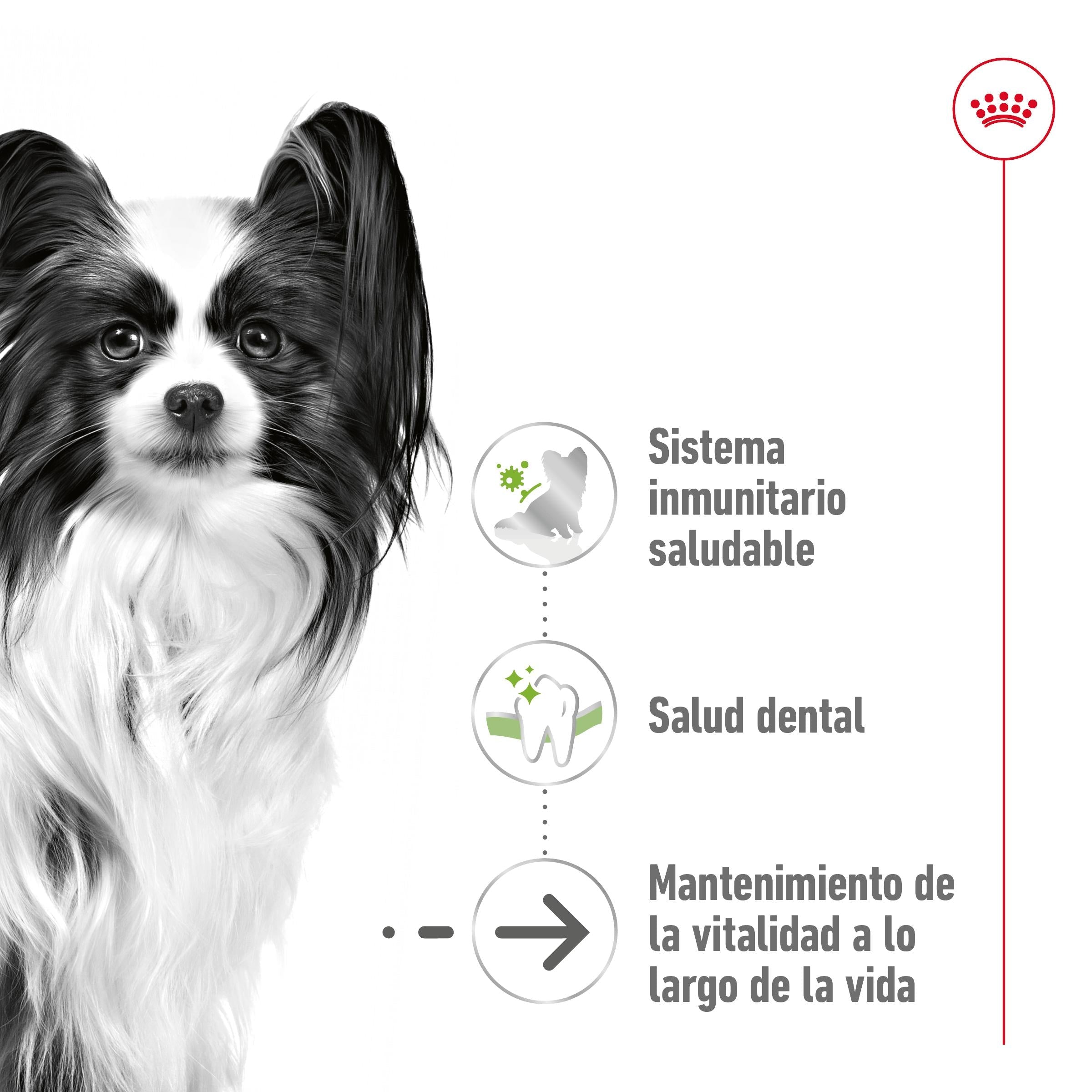 Royal Canin X-Small Ageing 12+ Pienso para Perros Senior al mejor precio -Todoanimal.es
