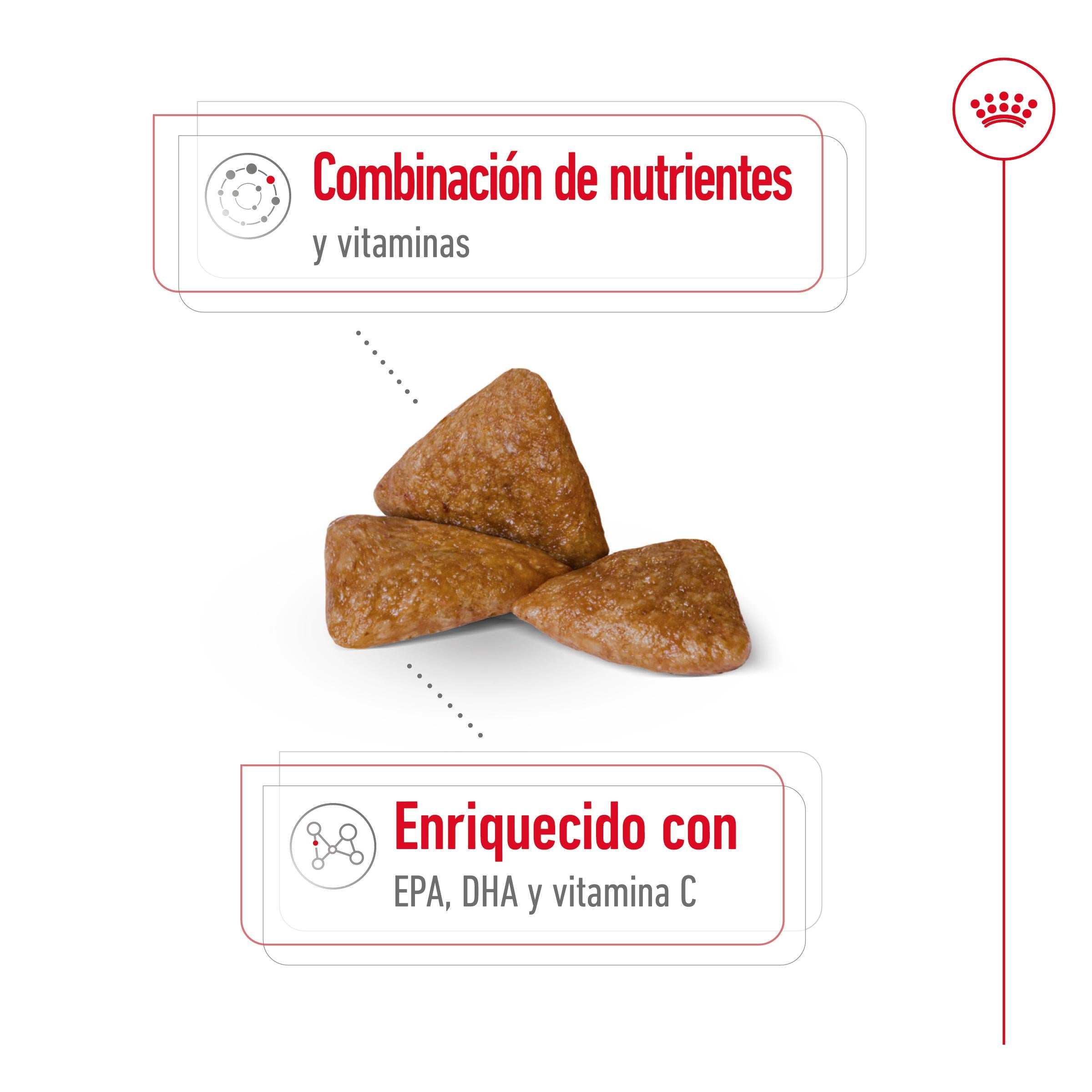 Royal Canin X-Small Ageing 12+ Pienso para Perros Senior al mejor precio -Todoanimal.es