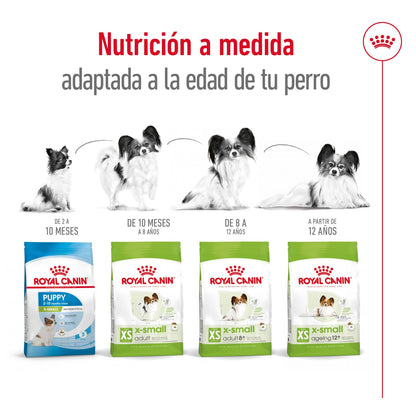 Royal Canin X-Small Ageing 12+ Pienso para Perros Senior al mejor precio -Todoanimal.es