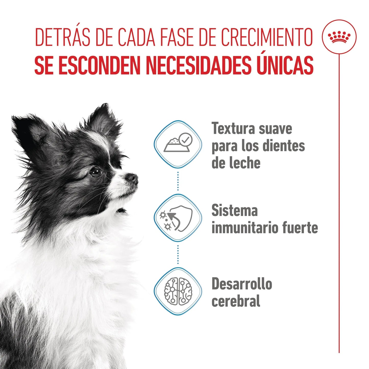 Royal Canin X-Small Puppy 85 g Alimento Húmedo para Cachorros al mejor precio -Todoanimal.es