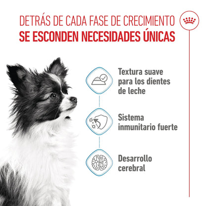 Royal Canin X-Small Puppy 85 g Alimento Húmedo para Cachorros al mejor precio -Todoanimal.es