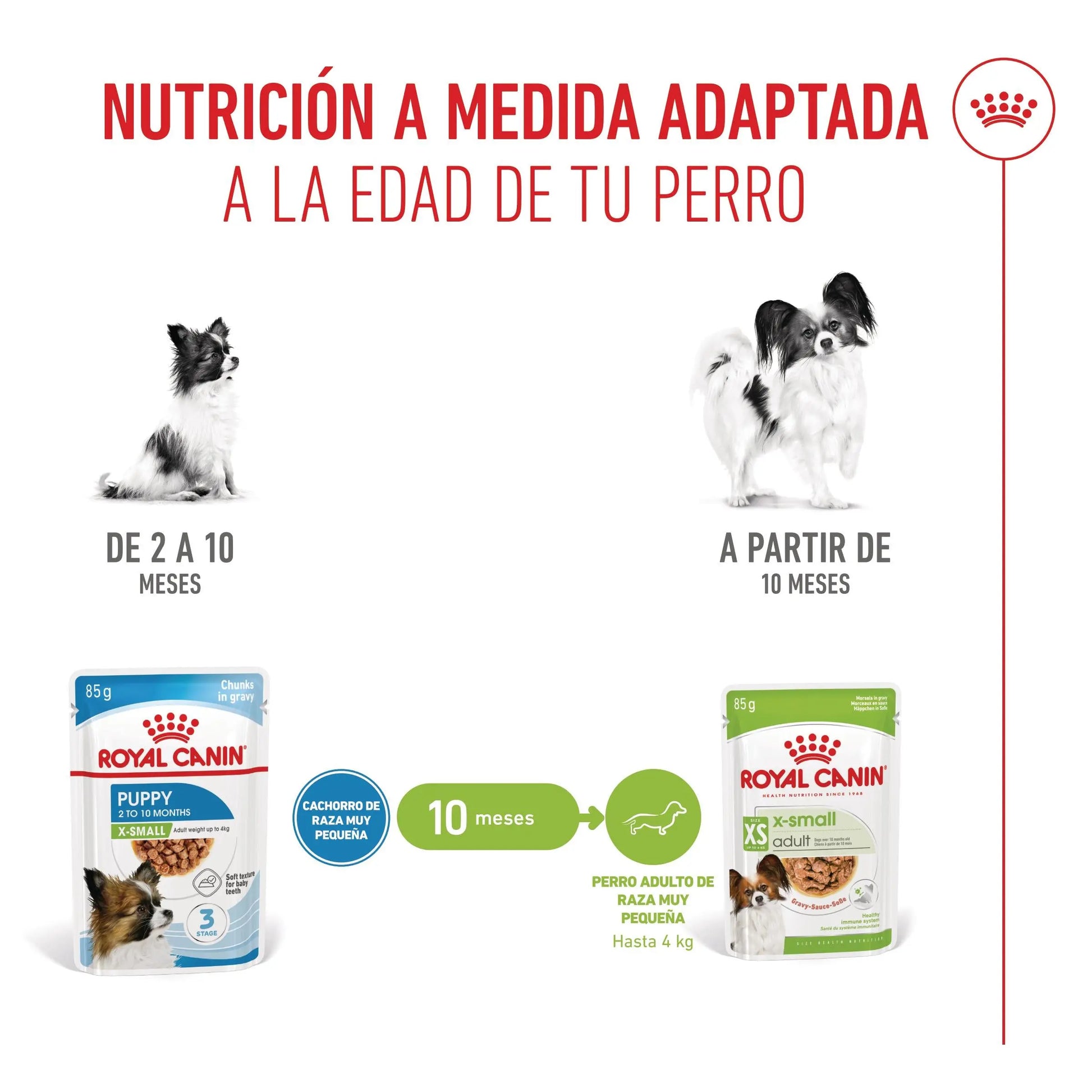 Royal Canin X-Small Puppy 85 g Alimento Húmedo para Cachorros al mejor precio -Todoanimal.es
