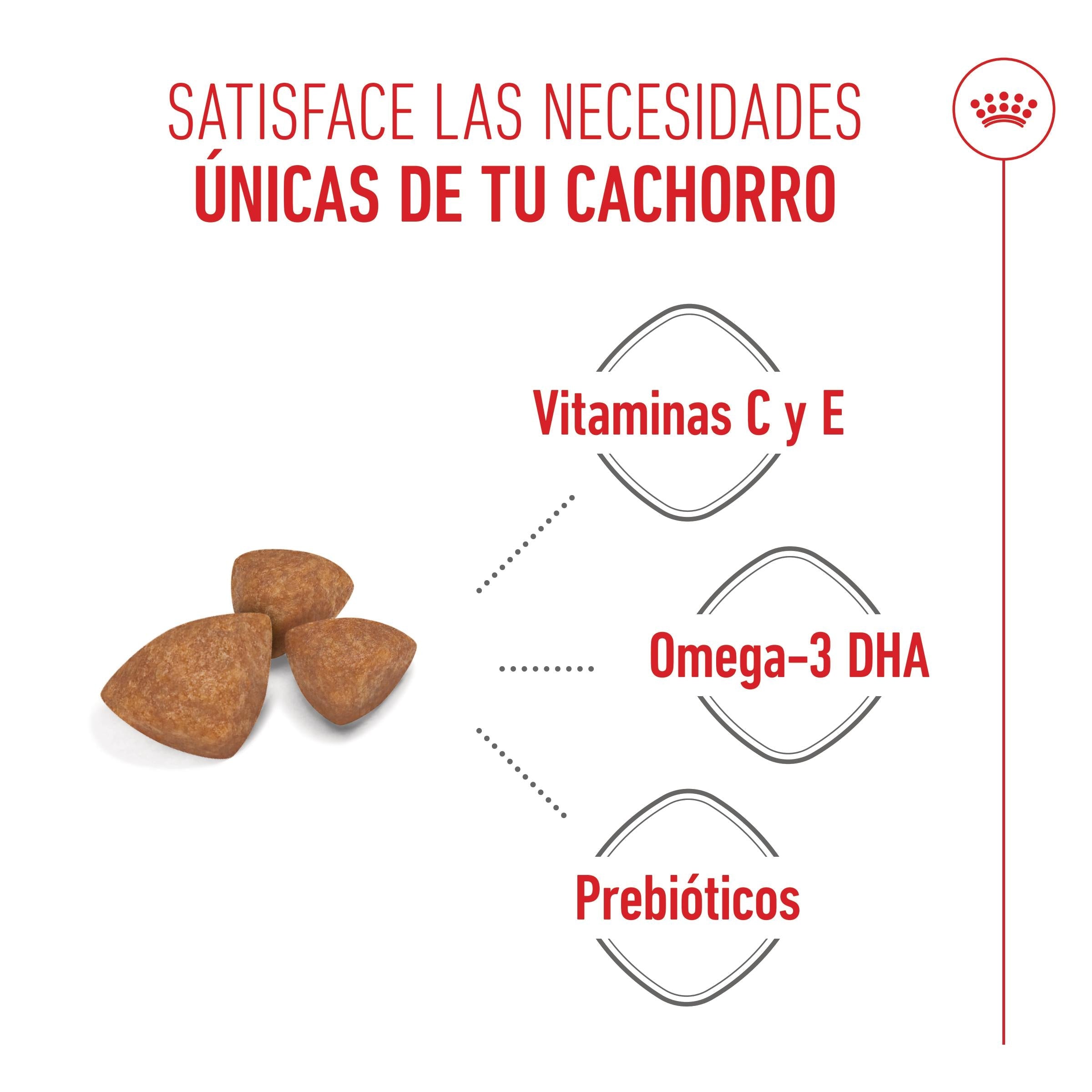 Royal Canin X-Small Puppy Pienso para Cachorros al mejor precio -Todoanimal.es