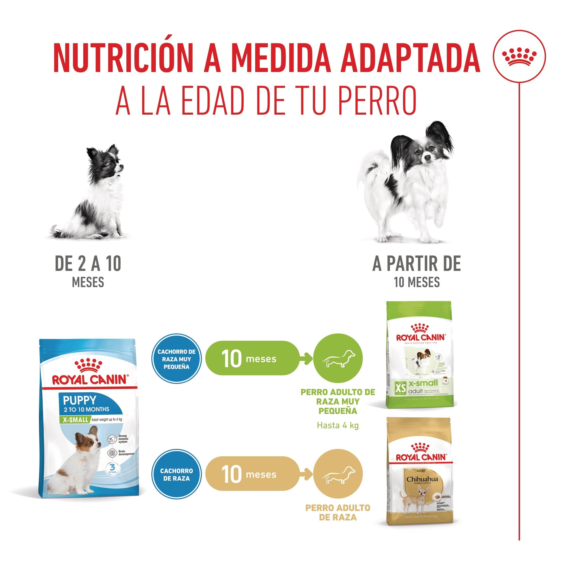 Royal Canin X-Small Puppy Pienso para Cachorros al mejor precio -Todoanimal.es