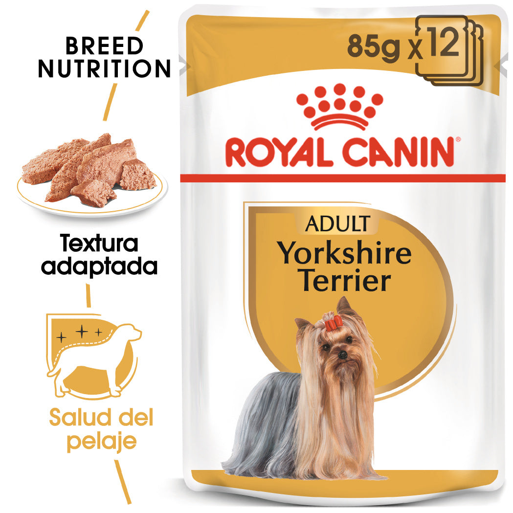 Royal Canin Yorkshire Paté Adulto 85 g Comida Húmeda para Perros al mejor precio -Todoanimal.es