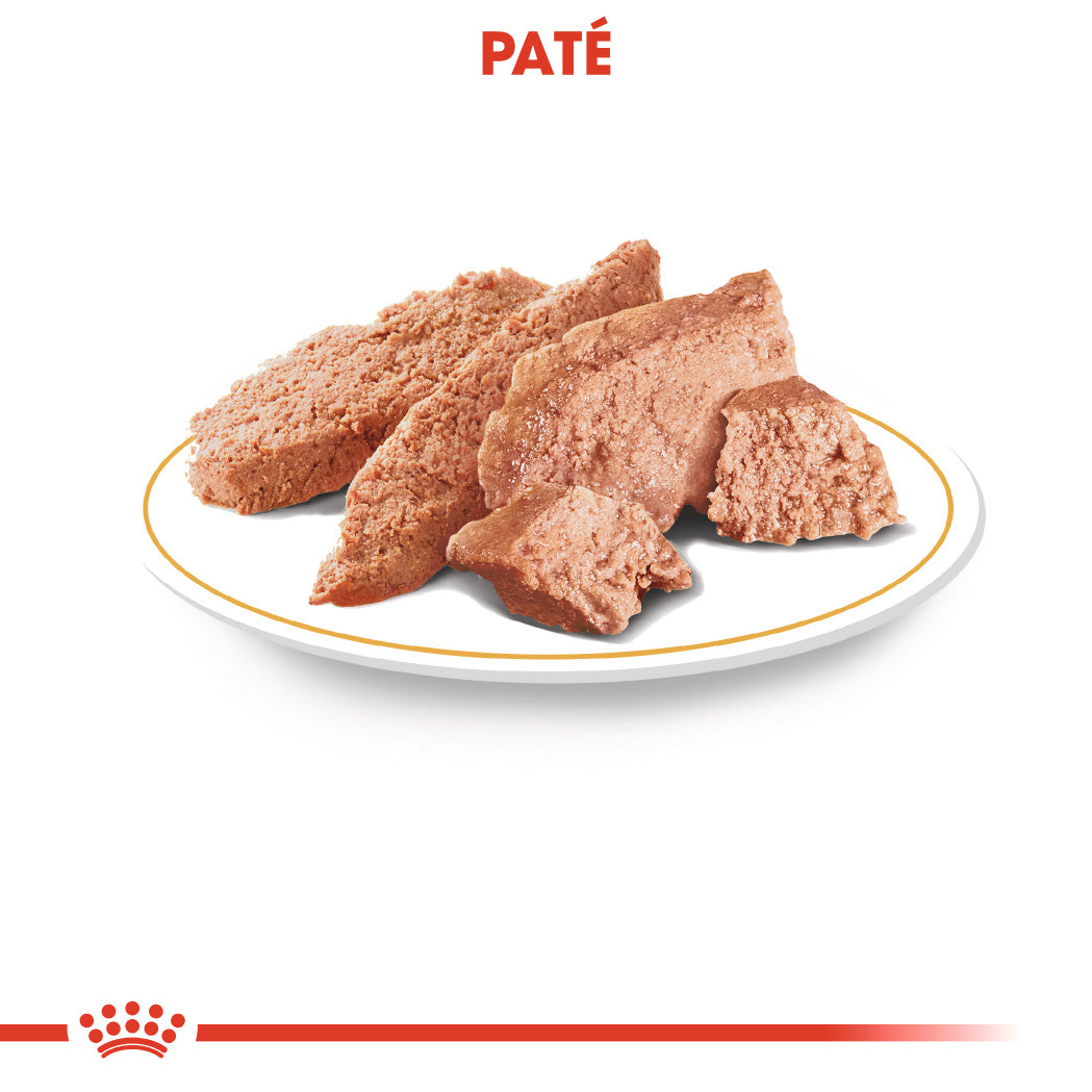 Royal Canin Yorkshire Paté Adulto 85 g Comida Húmeda para Perros al mejor precio -Todoanimal.es