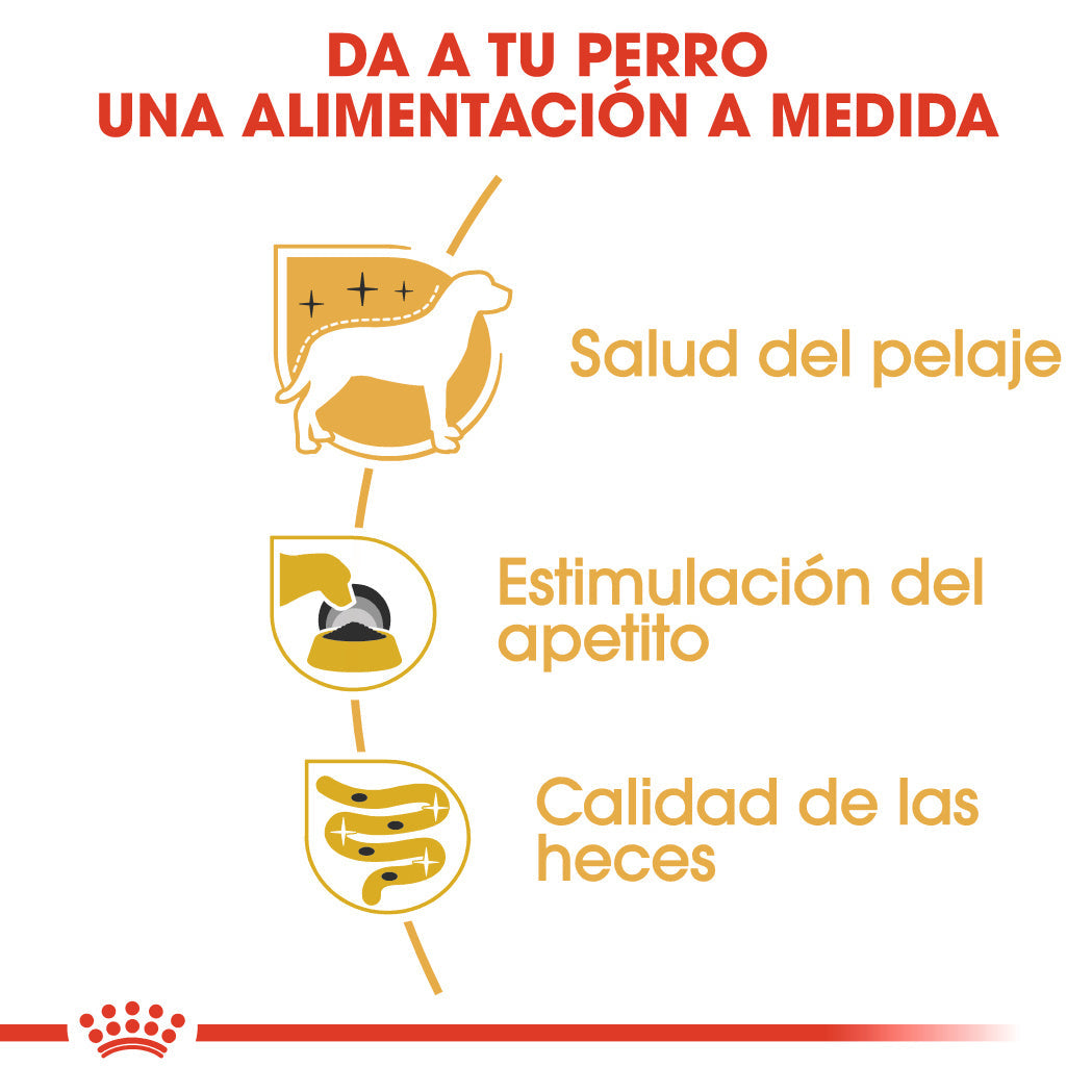 Royal Canin Yorkshire Paté Adulto 85 g Comida Húmeda para Perros al mejor precio -Todoanimal.es