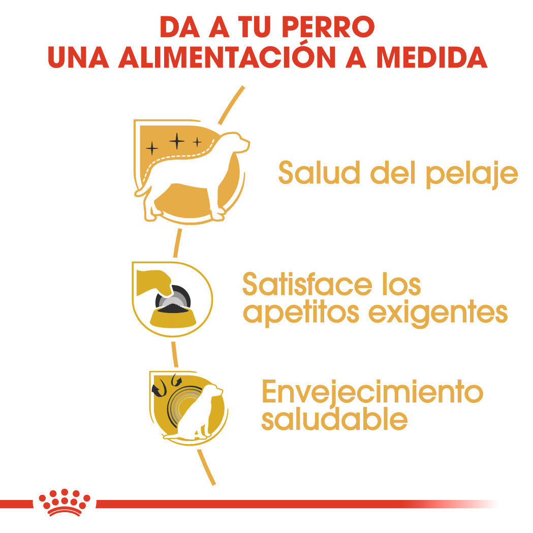 Royal Canin Yorkshire Terrier Adulto Pienso para Perros de Raza al mejor precio -Todoanimal.es