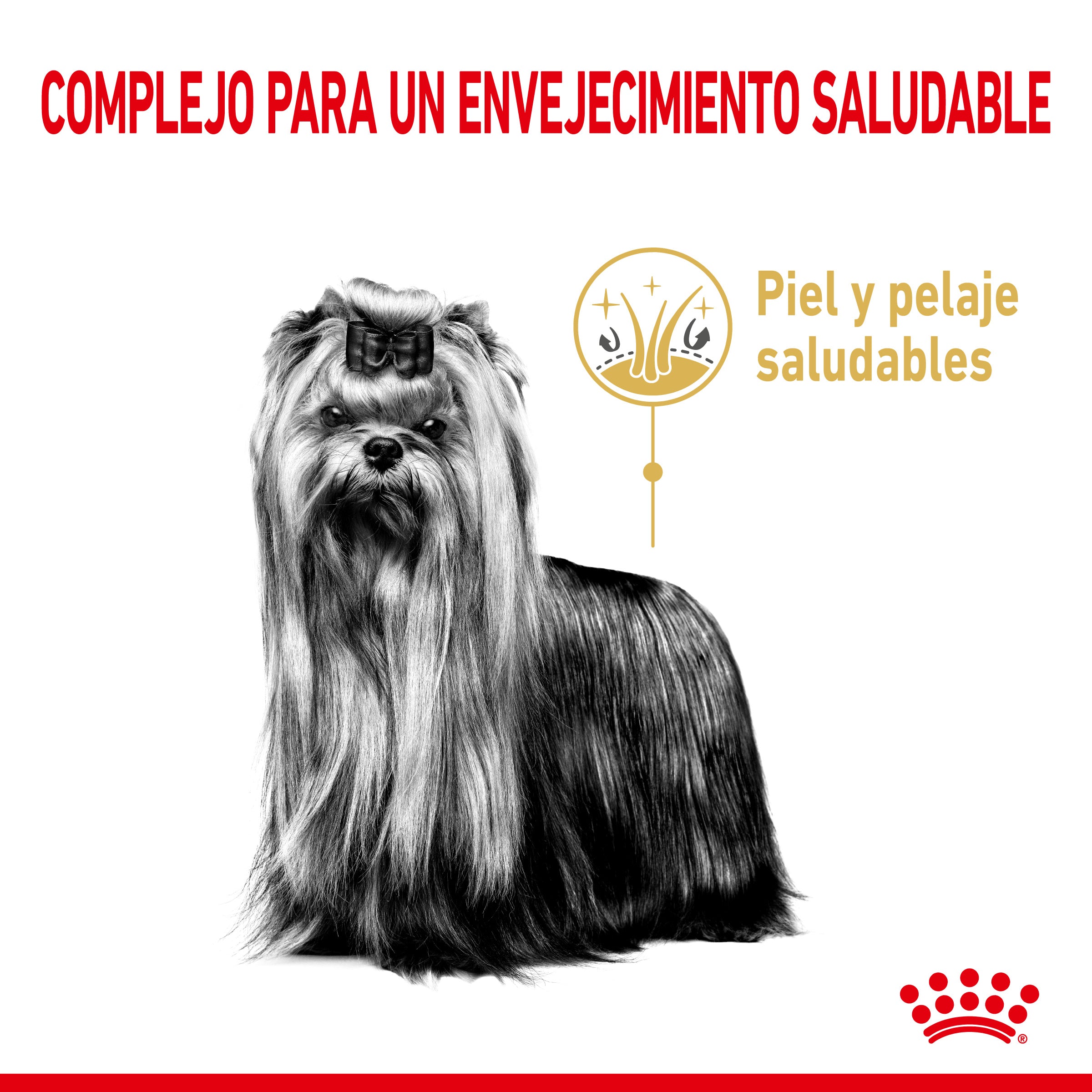 Royal Canin Yorkshire Terrier Ageing 8+ Pienso para Perros de Raza al mejor precio -Todoanimal.es