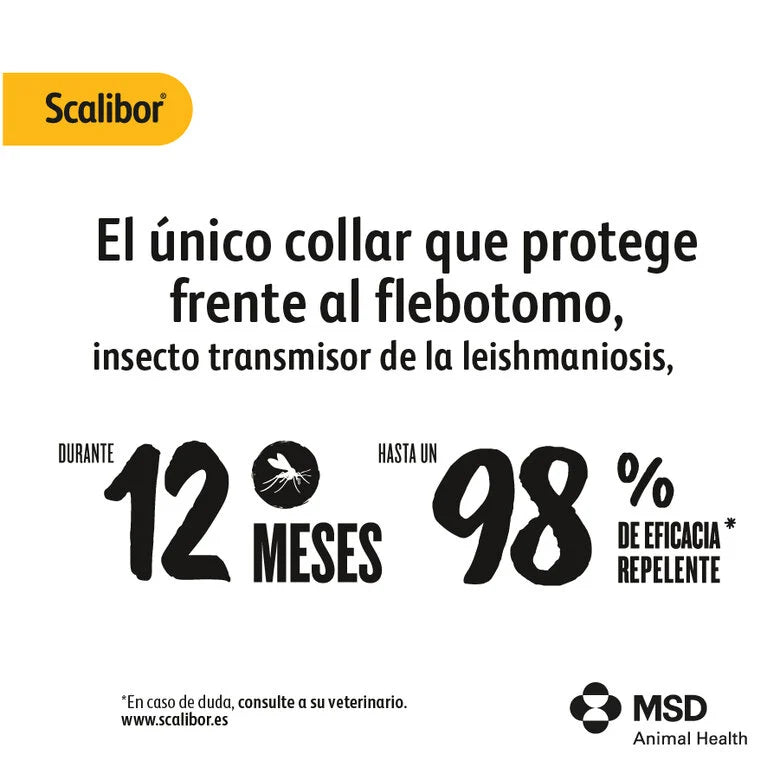 Scalibor Collar Antiparasitario para Perros | Mosquito Leishmania | Pulgas | Garrapatas al mejor precio -Todoanimal.es