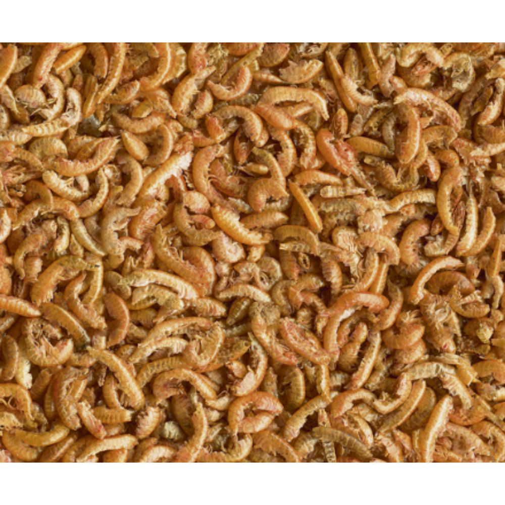 Tetra ReptoDelica Gammarus al mejor precio -Todoanimal.es