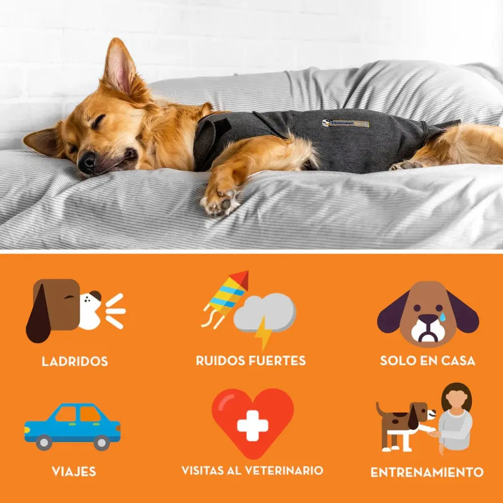 Thundershirt Chaleco Relajante Antiestrés y Ansiedad para Perros al mejor precio -Todoanimal.es