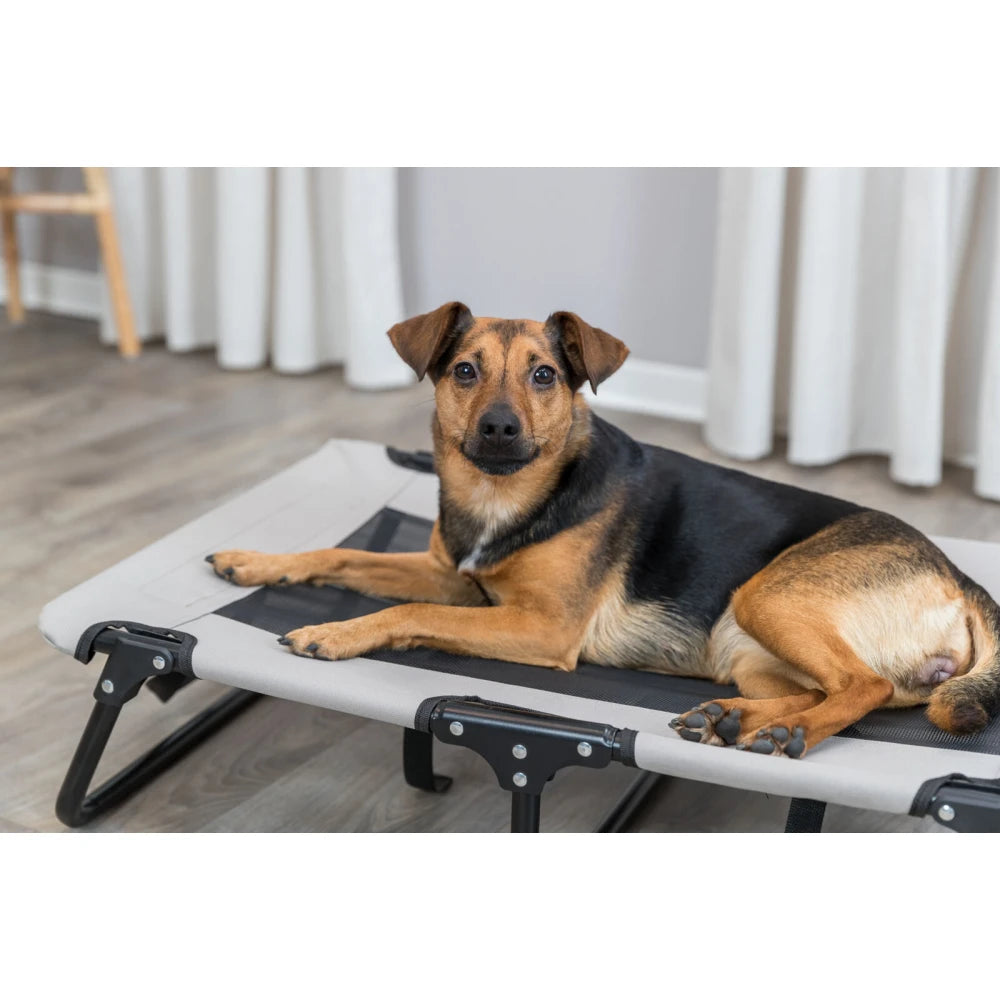 Trixie Cama Elevada para Perros Tumbona Cómoda Relax al mejor precio -Todoanimal.es