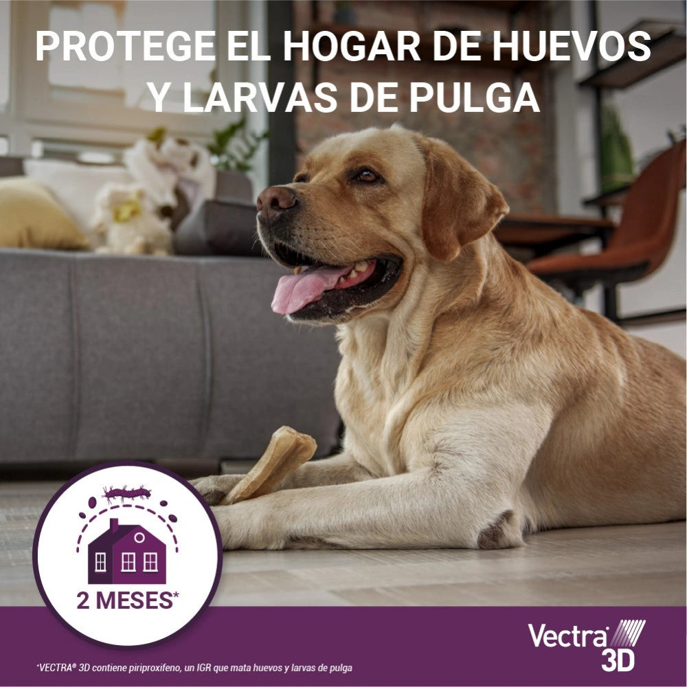 Vectra 3D Pipeta Antiparasitaria para Perros al mejor precio -Todoanimal.es