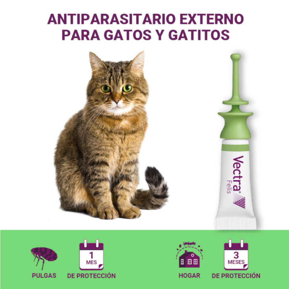 Vectra Felis Pipetas Antiparasitarias para gatos al mejor precio -Todoanimal.es