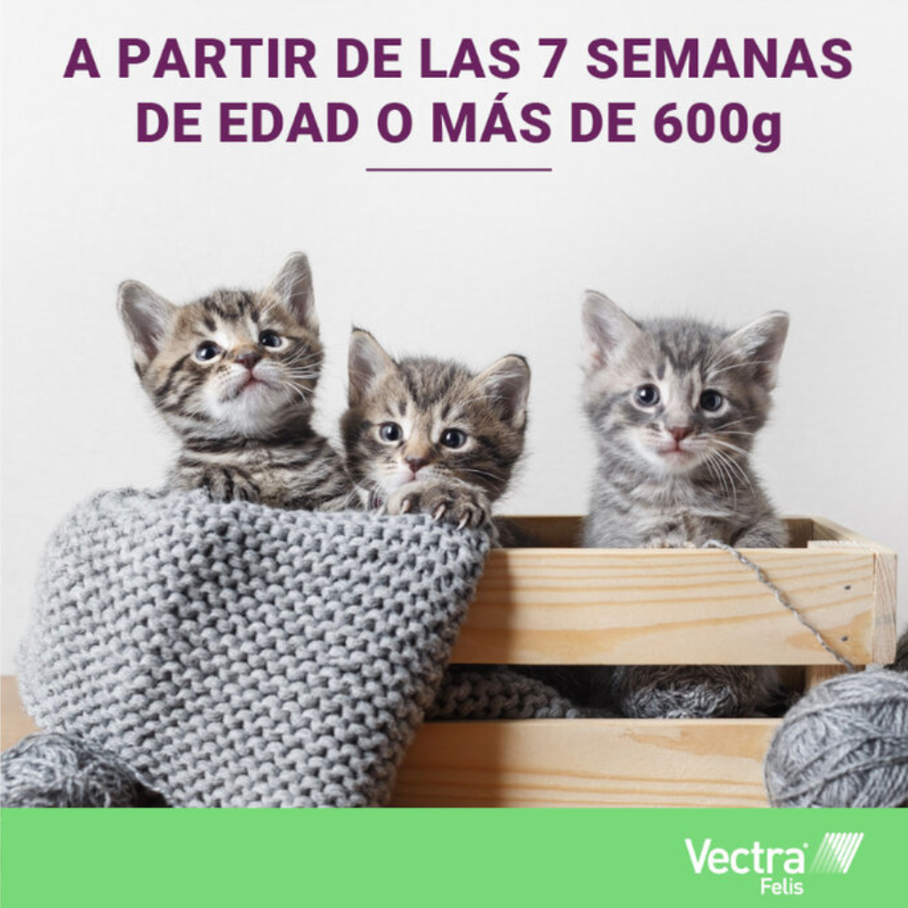 Vectra Gato 0,6-10 kg 3 Pipetas al mejor precio -Todoanimal.es