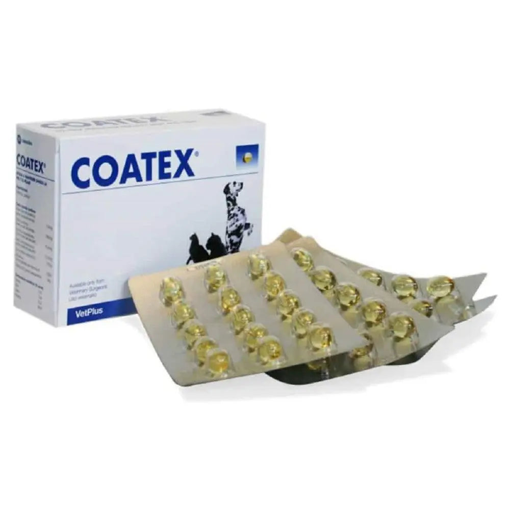 VetPlus Coatex 60 Perlas Omega 3 y Omega 6 Ácidos Grasos Complemento Piel y Pelaje de Perros al mejor precio -Todoanimal.es