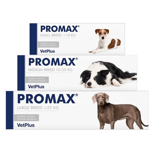 VetPlus Promax Complemento Antidiarréico para Perros al mejor precio -Todoanimal.es