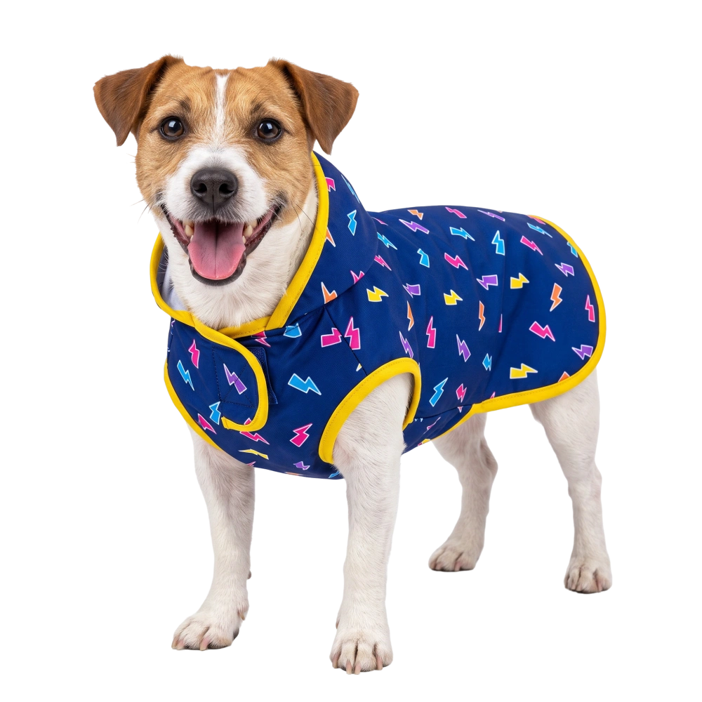 Welova Impermeable Rayos para Perros al mejor precio -Todoanimal.es