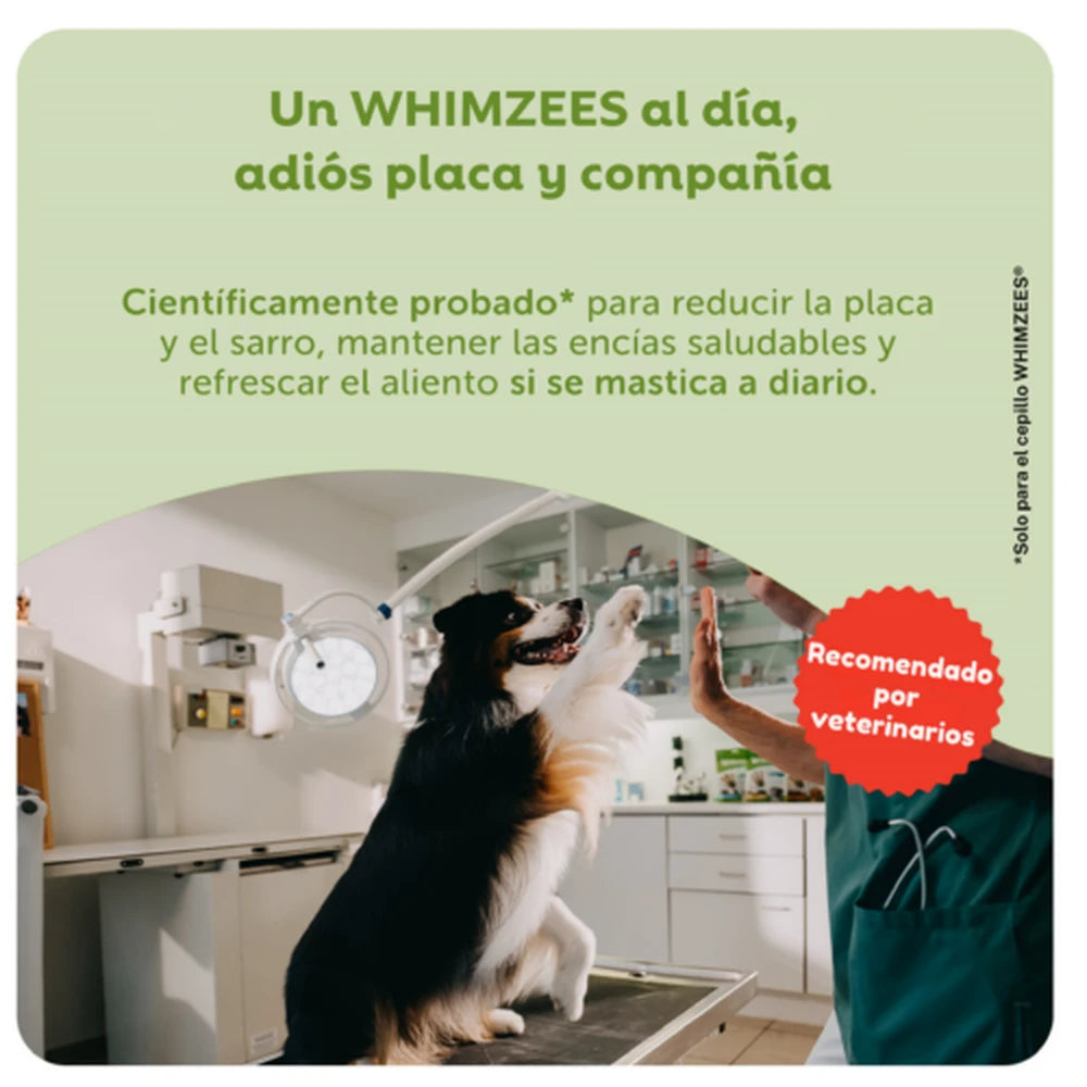Whimzees Toothbrush Cepillo de Dientes Snack Dental para Perros al mejor precio -Todoanimal.es