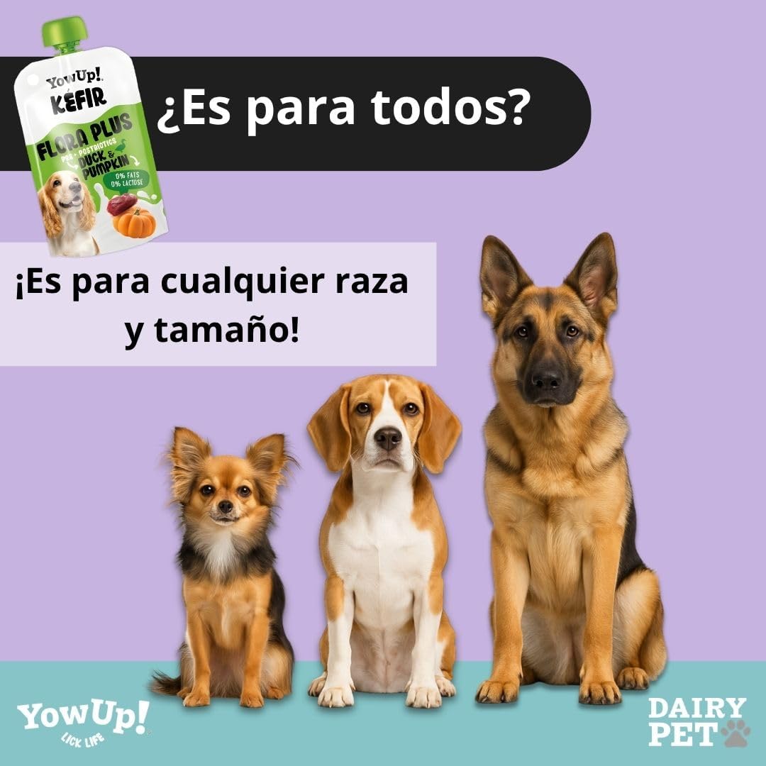 YowUp Flora Plus Kéfir con Pato y Calabaza para Perros 115 g al mejor precio -Todoanimal.es