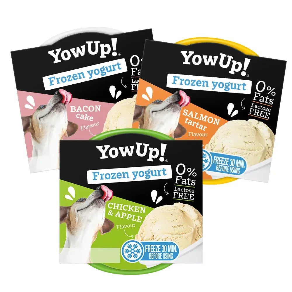 Yowup Helado Yogurt Tartar Salmón 110 g al mejor precio -Todoanimal.es