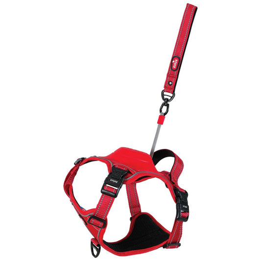 Zolux Arnés EasyRide con Correa Retráctil para Perros al mejor precio -Todoanimal.es