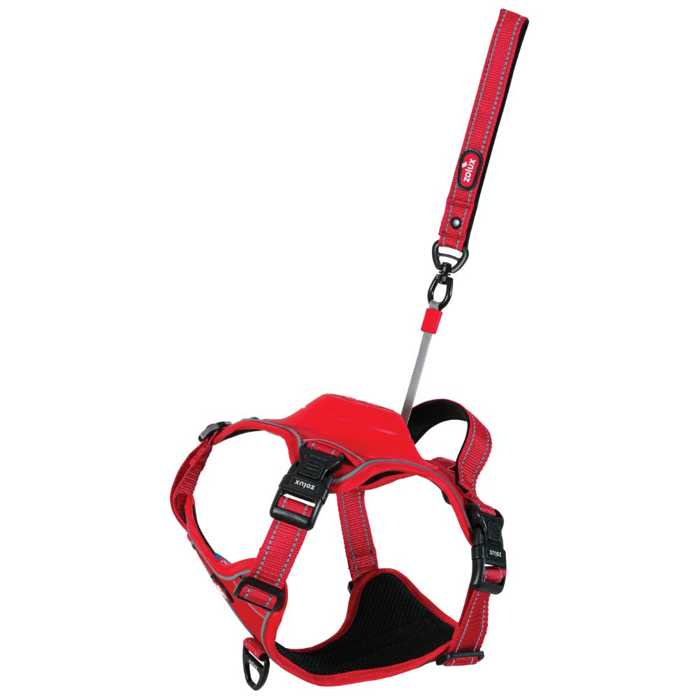 Zolux Arnés EasyRide con Correa Retráctil para Perros al mejor precio -Todoanimal.es