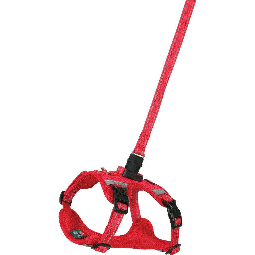 Zolux Kit Correa 2M y Arnés Clip & Go para Perros al mejor precio -Todoanimal.es