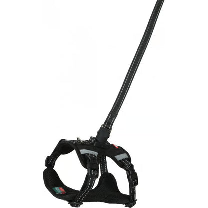 Zolux Kit Correa 2M y Arnés Clip & Go para Perros al mejor precio -Todoanimal.es