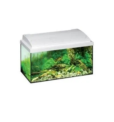 Acuario Eheim Aquastar 54 Blanco (60X30X30)