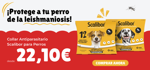 Scalibor al mejor precio
