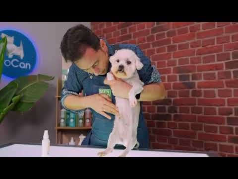 Menforsan Protector Solar Factor 50+ para Perros y Gatos Crema Sol 60 ml