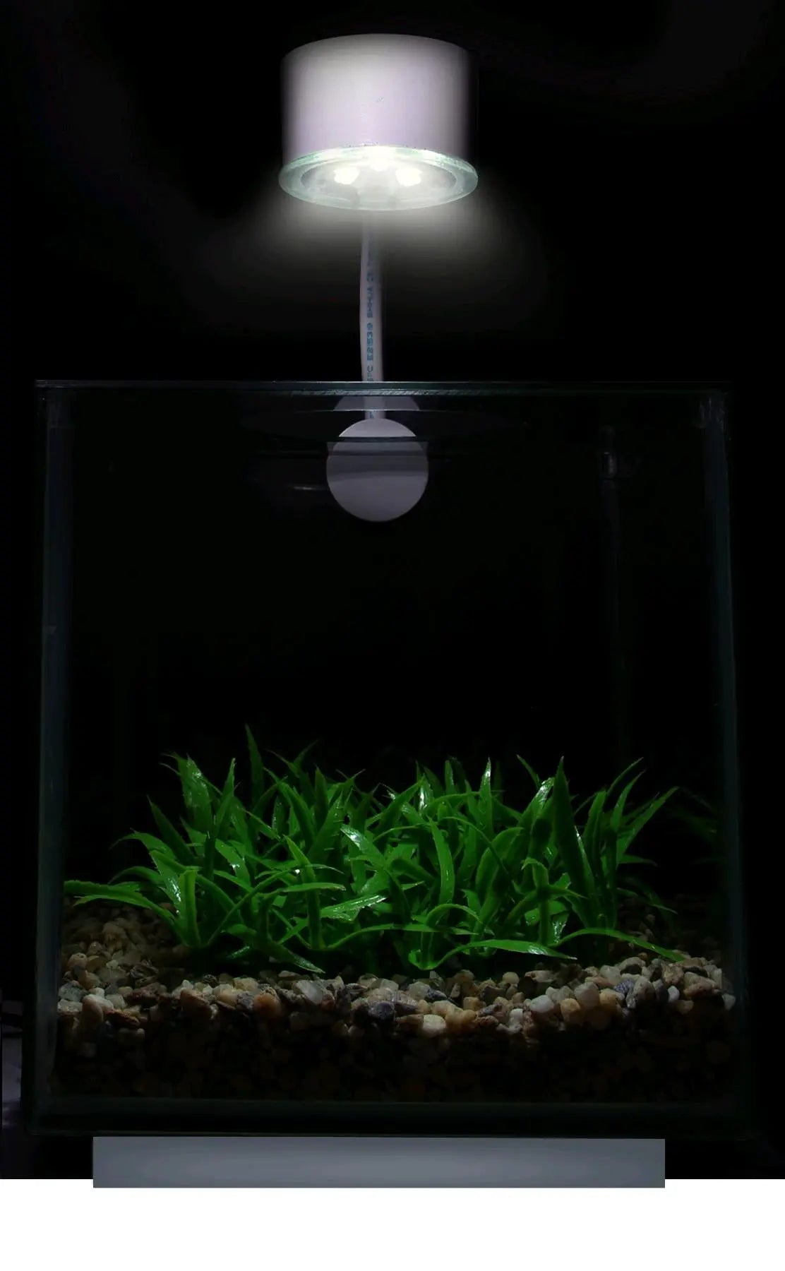 ACUARIO BETTA MARINA CUBUS 3,4 L
