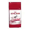 ROYAL CANIN MEDIUM LIGHT