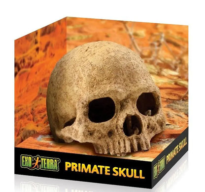 REFUGIO PRIMATE SKULL EXO TERRA