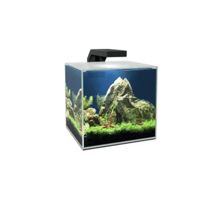 ACUARIO CUBE AQUA 5L LED CIANO