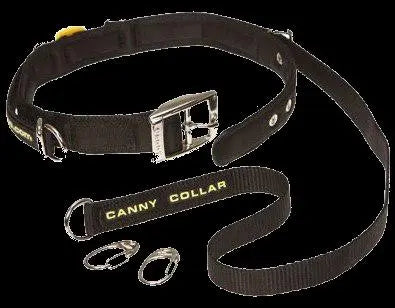 COLLAR CANNY DOG ANTI TIRONES