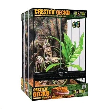 TERRARIO EXO TERRA KIT CRESTA GECKO 30X30X45 CM