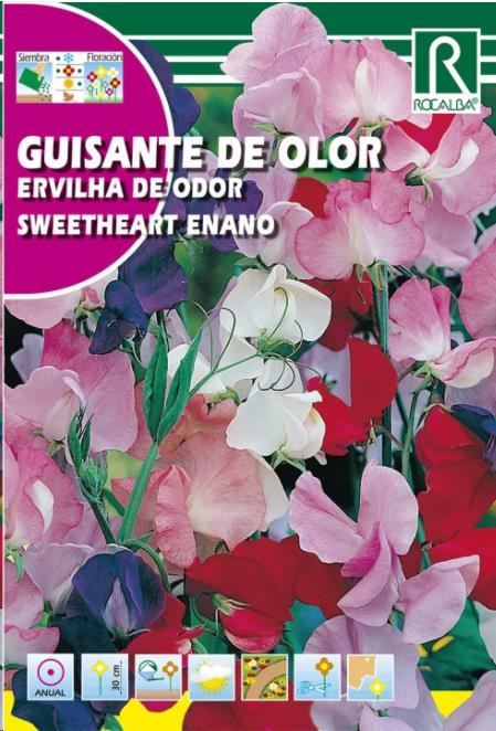 GUISANTE DE OLOR SWEETHEART ENANO,VARIAD