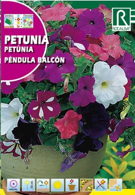 PETUNIA PENDULA BALCON, VARIADA