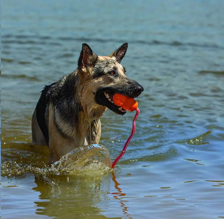 KONG juguete perro aqua t-m para el agua