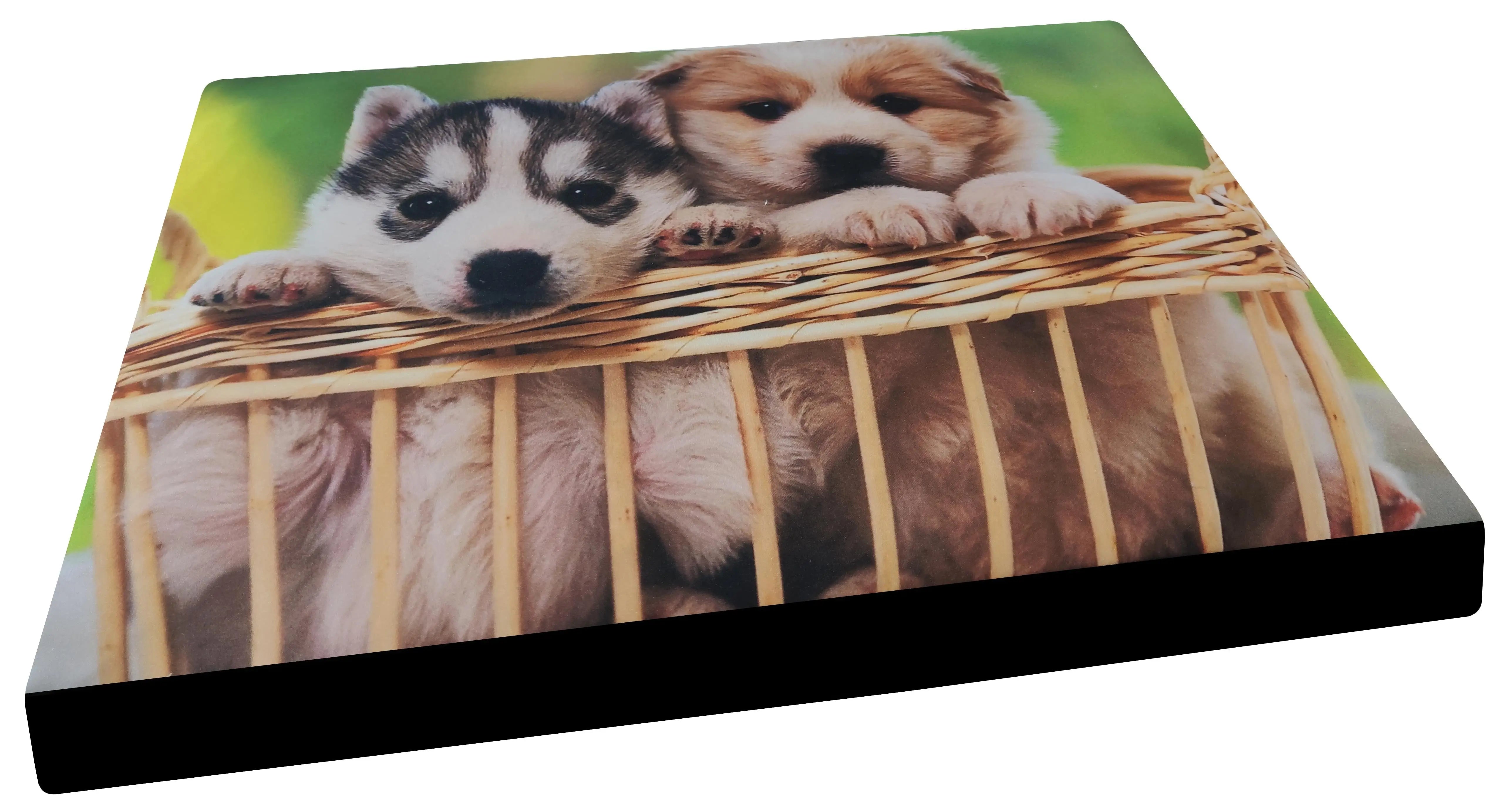 COLCHON DESENFUNDABLE MODELO FOTO REF.365 70X110X10CM GAMARQ
