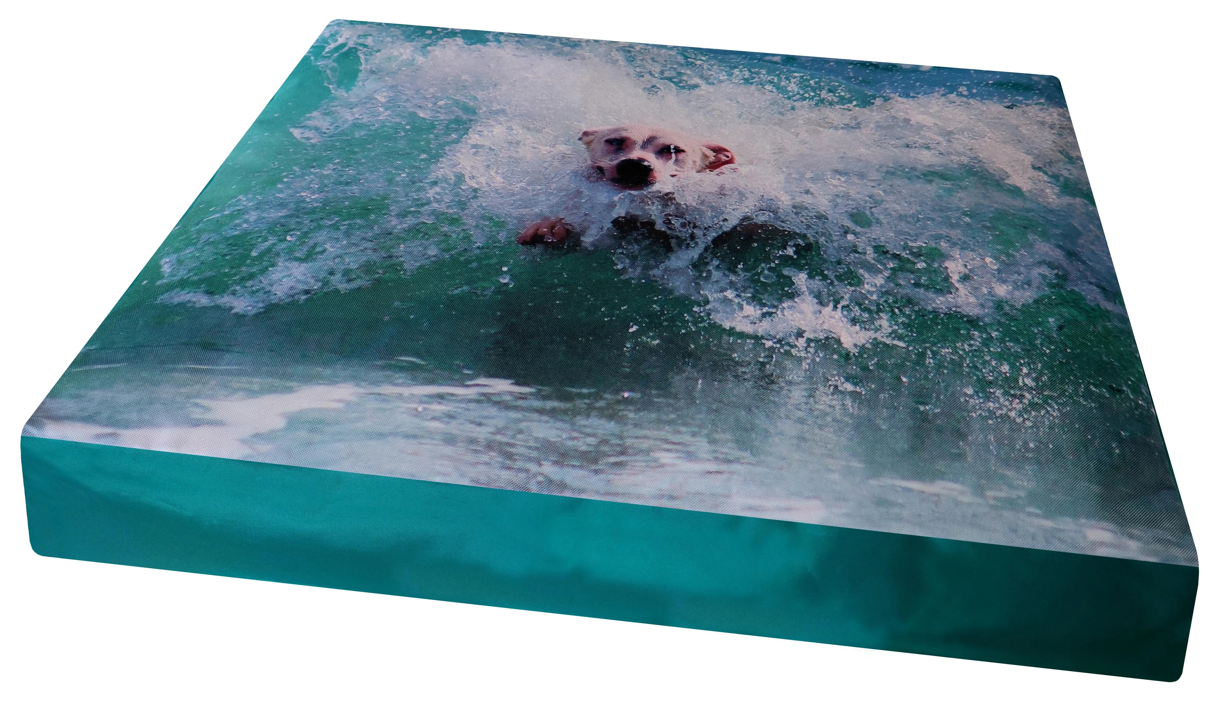 COLCHON NYLON IMPERMEABLE MODELO FOTO 70X50X15CM GAMARQ